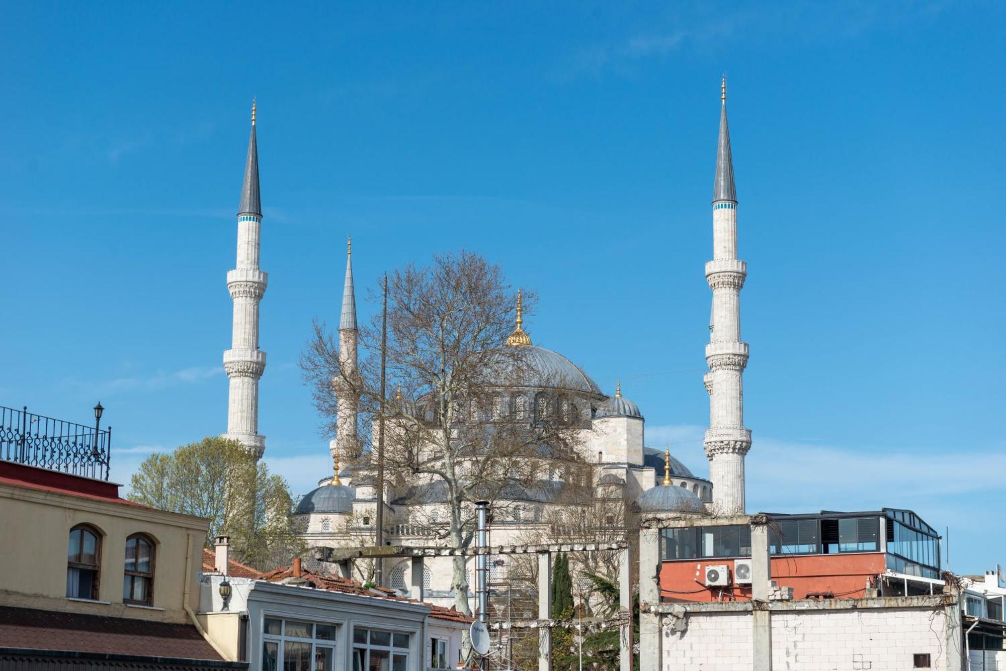 Cetinluxuryhome İstanbul Dış mekan fotoğraf